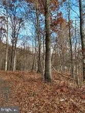 Land For Sale in Lavelle