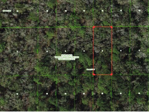 Agricultural Land Parcel with Easement