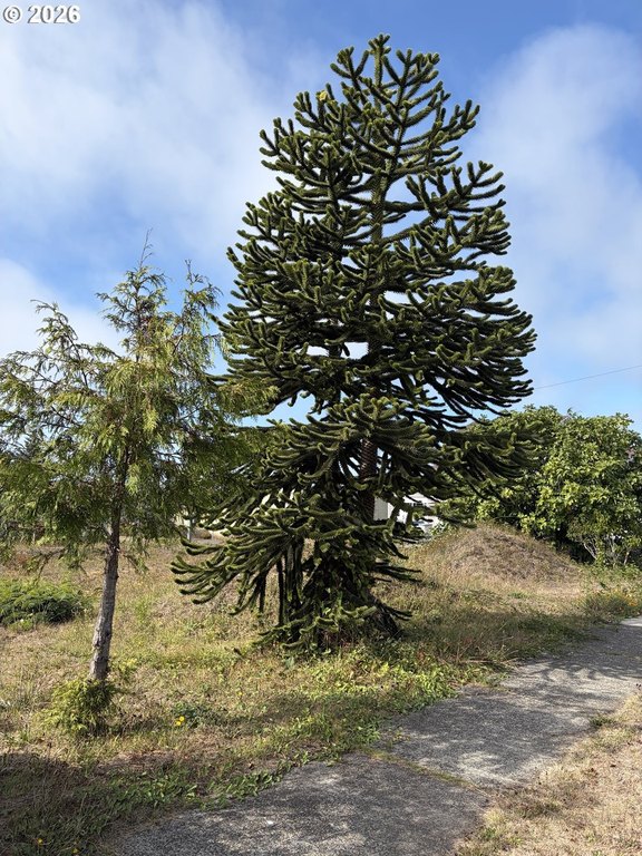 Picture 7