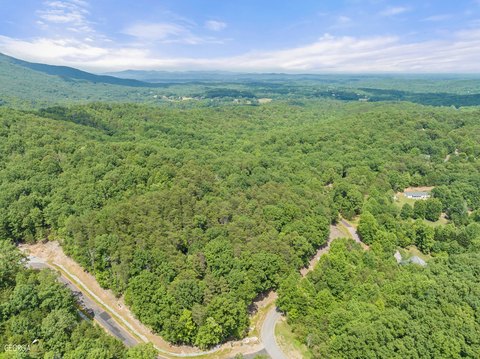 Residential Land in Wooded Area