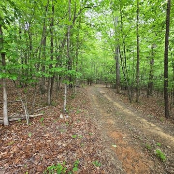 Waterfront Land with Spring-Fed Creek