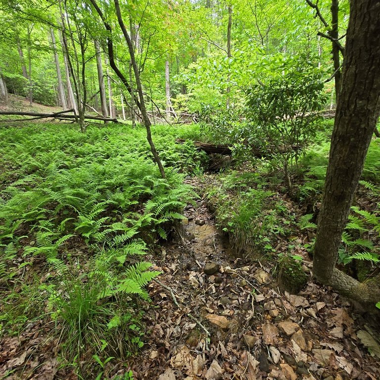Picture 24