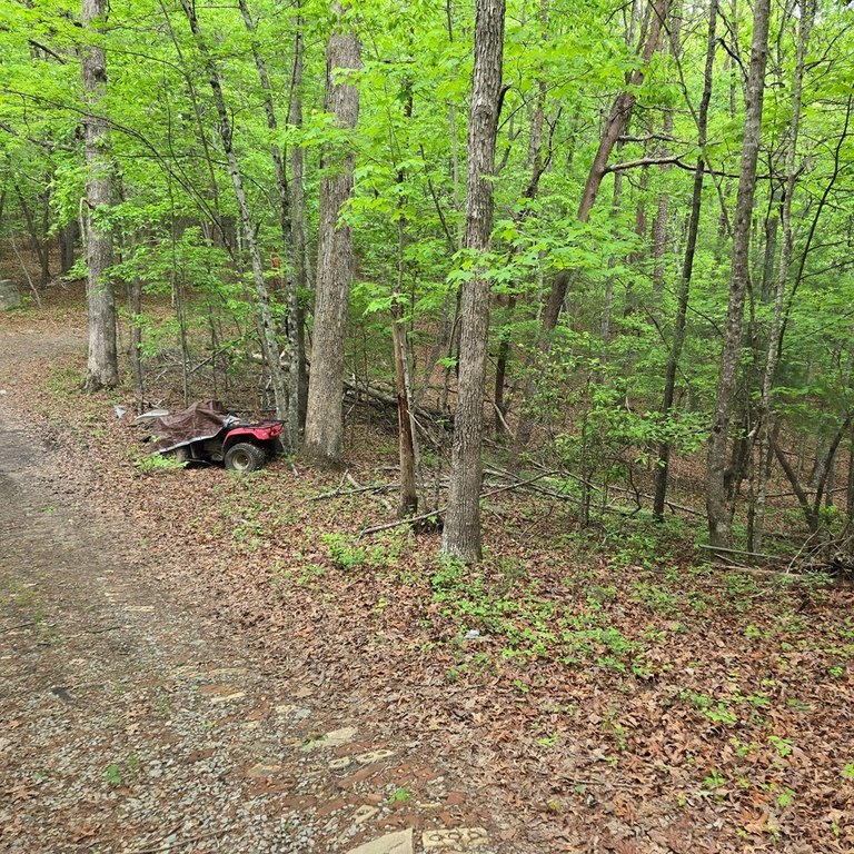 Picture 35