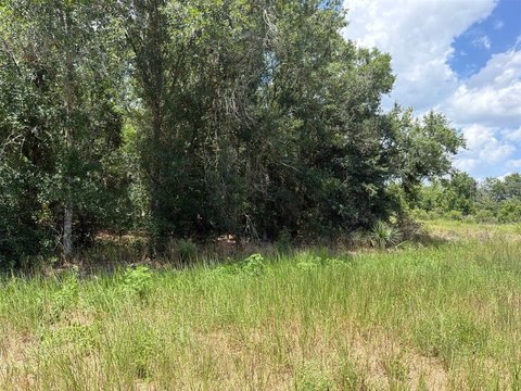 Rural Land Parcel for Development