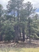 Land in Gated Pecos Community
