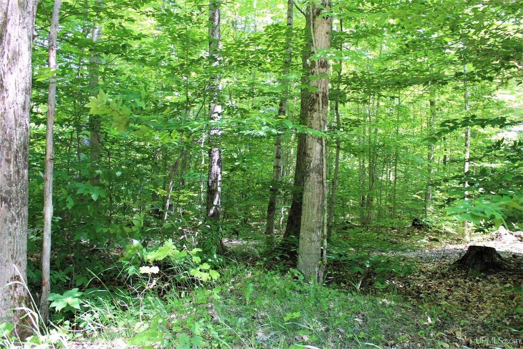 Picture 15