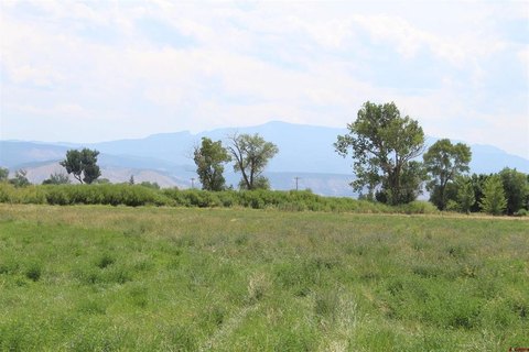 Montrose, CO Land For Sale