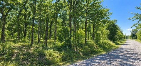 Eufaula Land For Sale