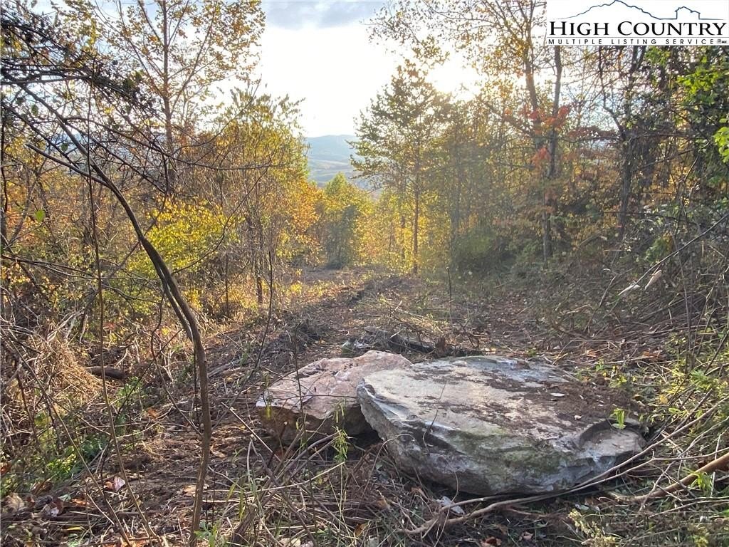 Land with Mountain Views