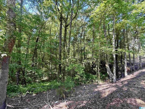 Acreage - SYLACAUGA, AL
