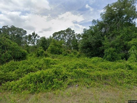 Residential Lot in Placid Lakes