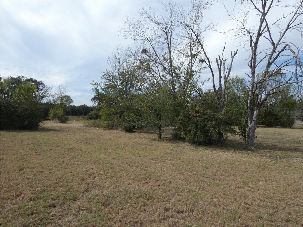 Picture 6
