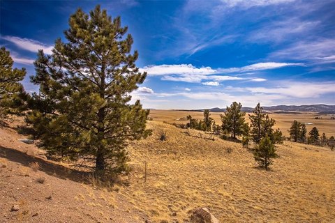 Land in Western Union Ranches