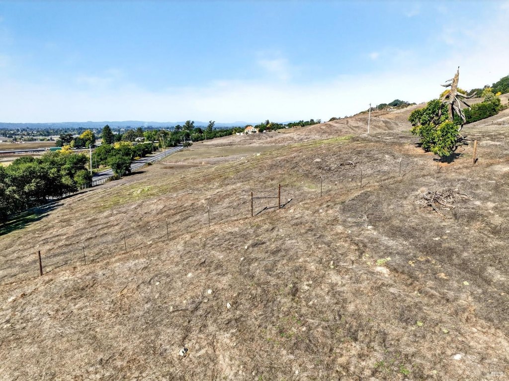 Picture 25