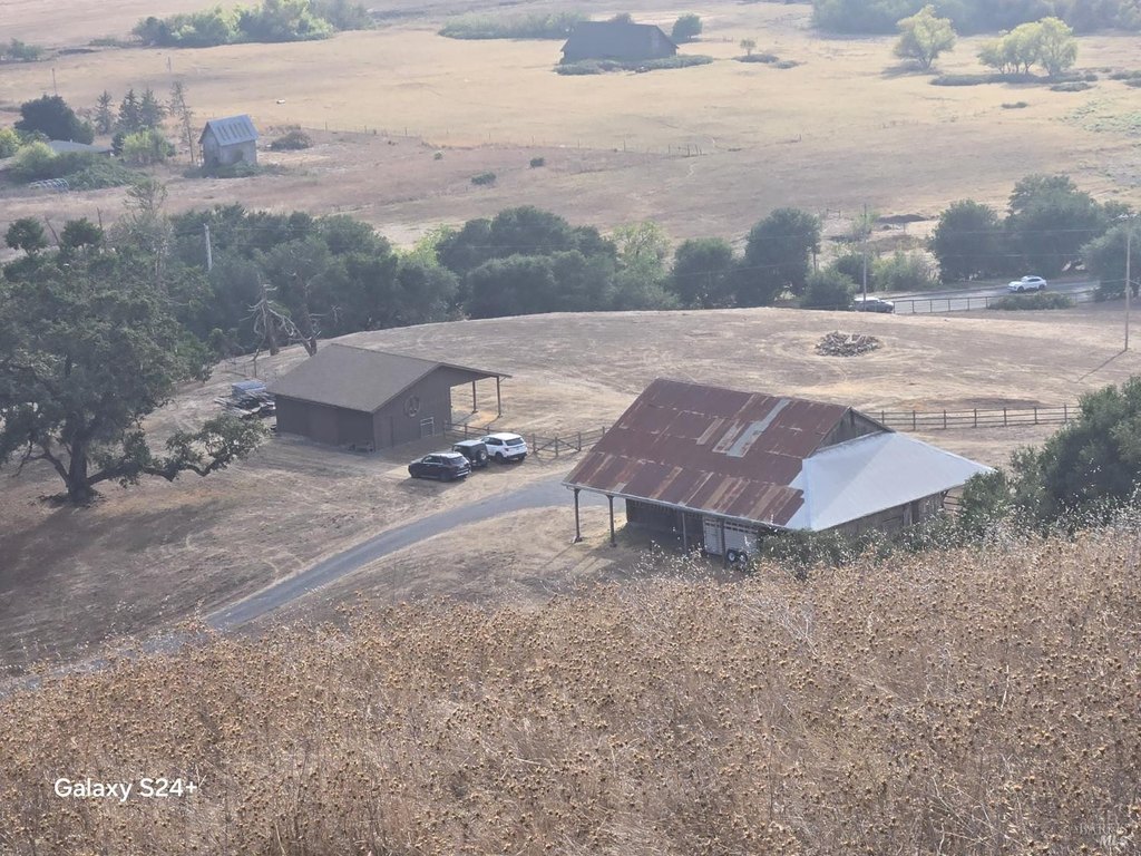 Picture 2