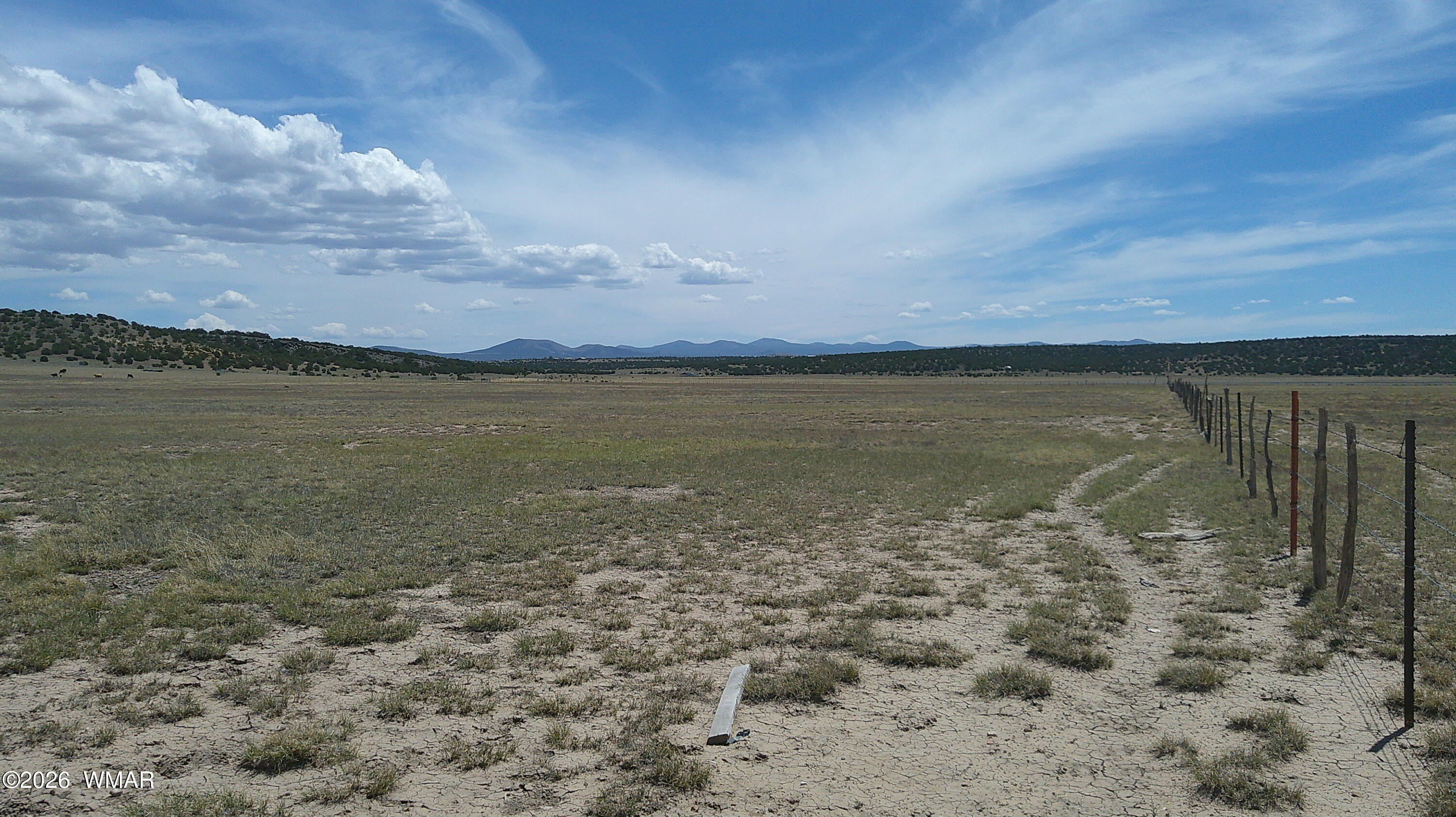 40 Acres in Windsor Valley