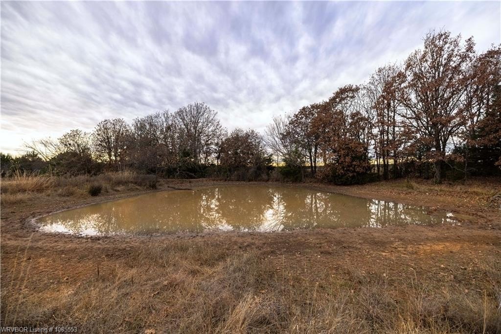 20 Acres of Unrestricted Land