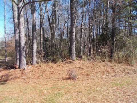 Residential Land in Friendship Estates