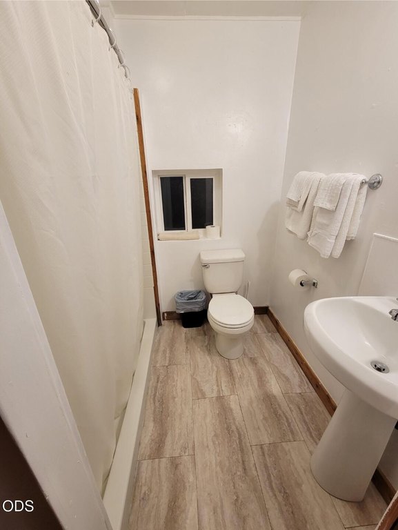 Picture 19