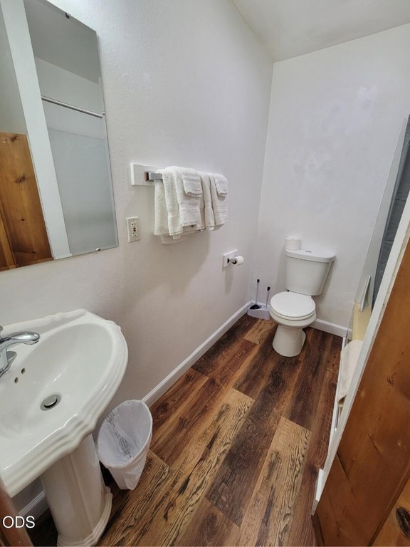 Picture 14