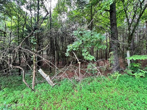 LAND - Decatur, TN
