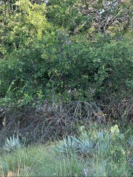 Lake Brownwood RV Lot