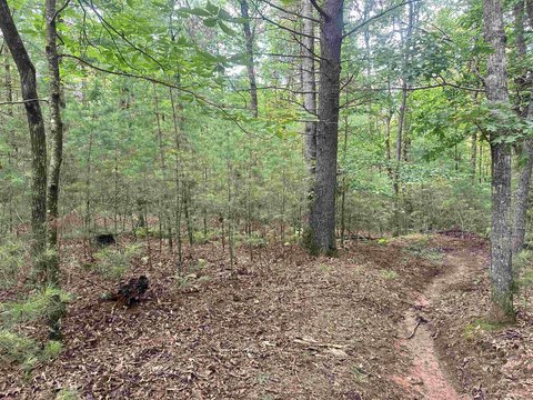 Secluded Build-Ready Lot Near Parkway