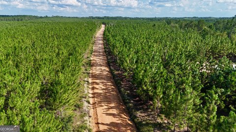 Baxley, GA Land Opportunity