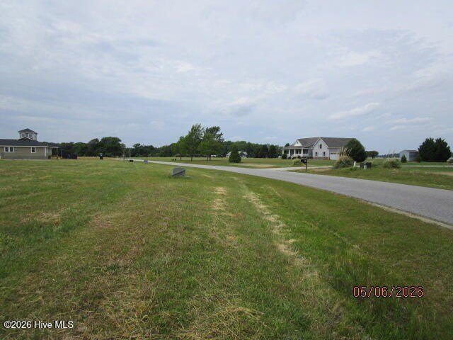 Picture 10