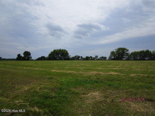 Picture 7