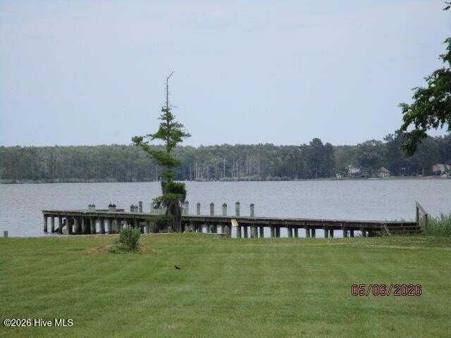 Picture 5