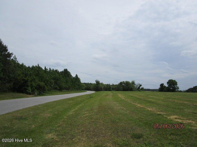 Picture 9