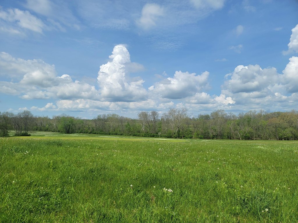 Picture 4