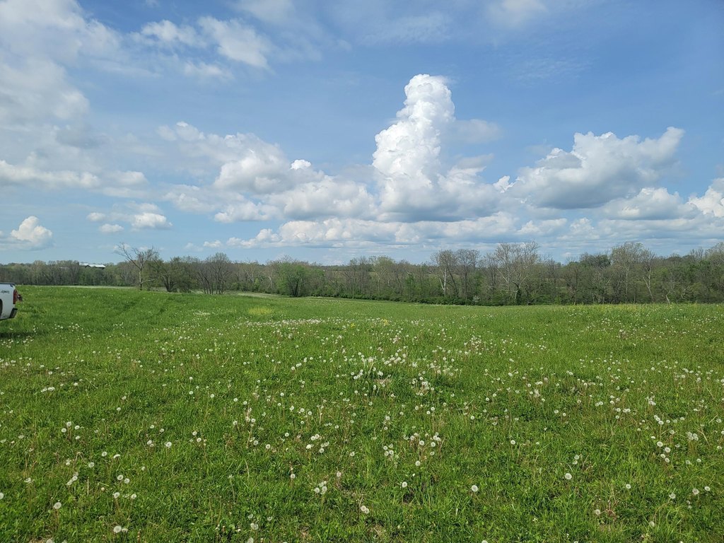 Picture 2