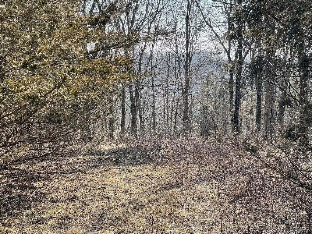 Picture 6