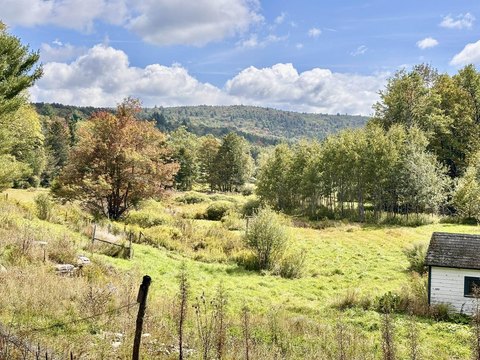 Land, Whitingham, VT