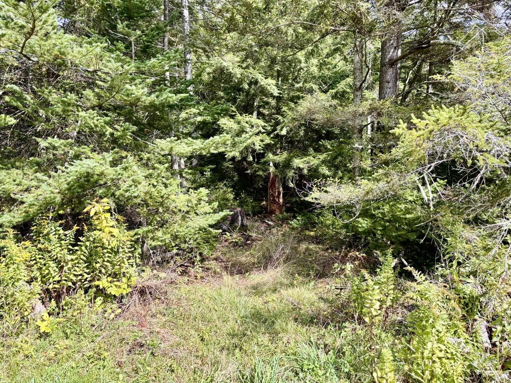 Picture 22