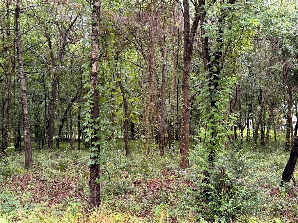 Picture 4