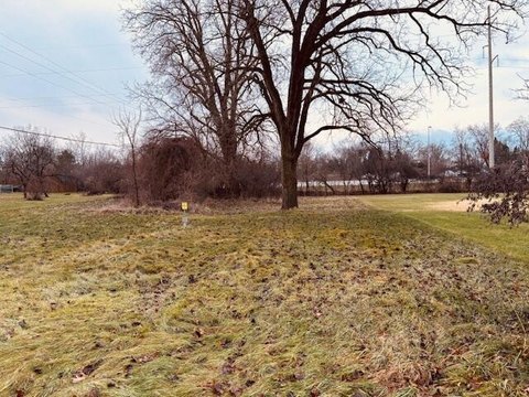 Commercial Lot in Blackman Township