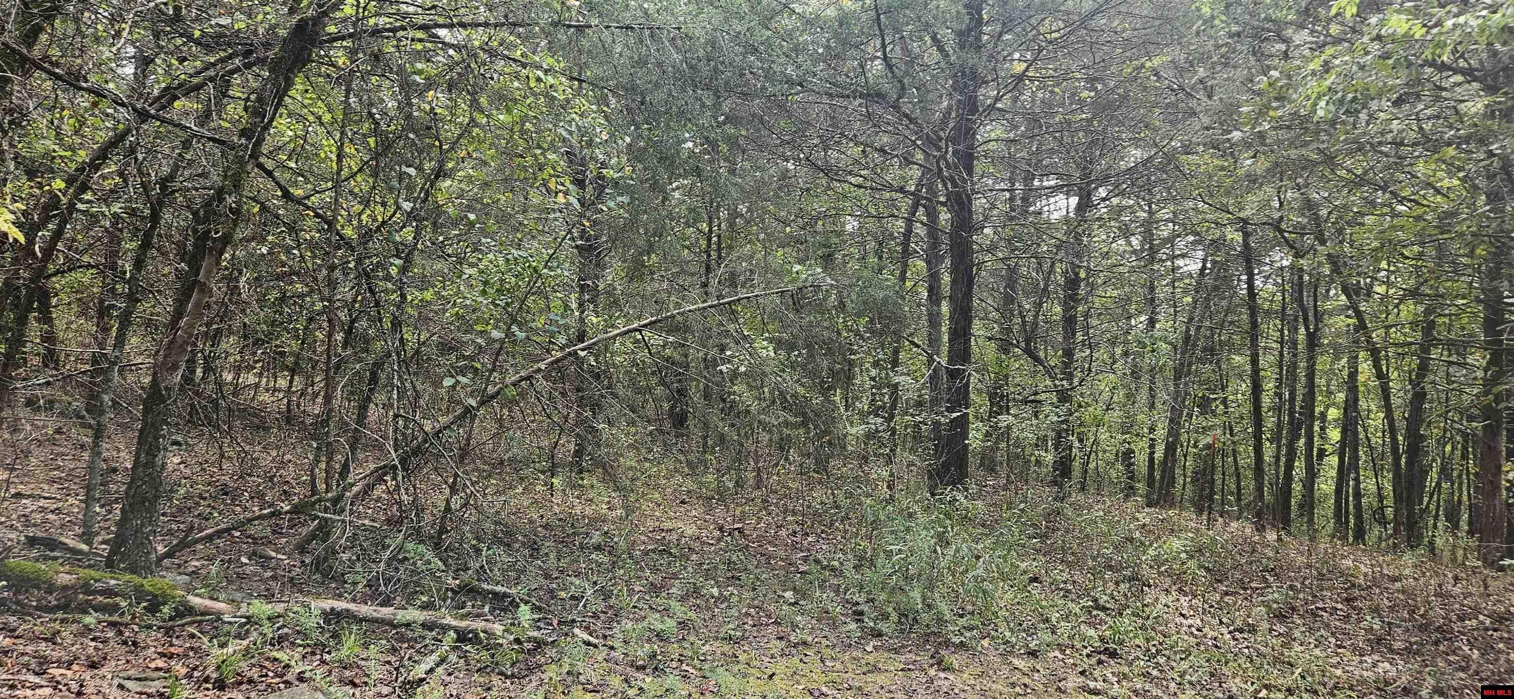 Undeveloped Land Overlooking River Confluence