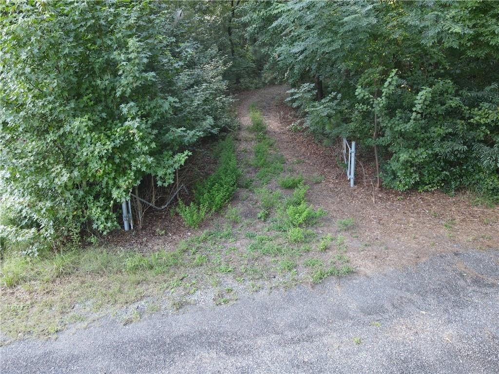 Picture 3