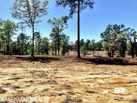 Land, Bay Minette, AL
