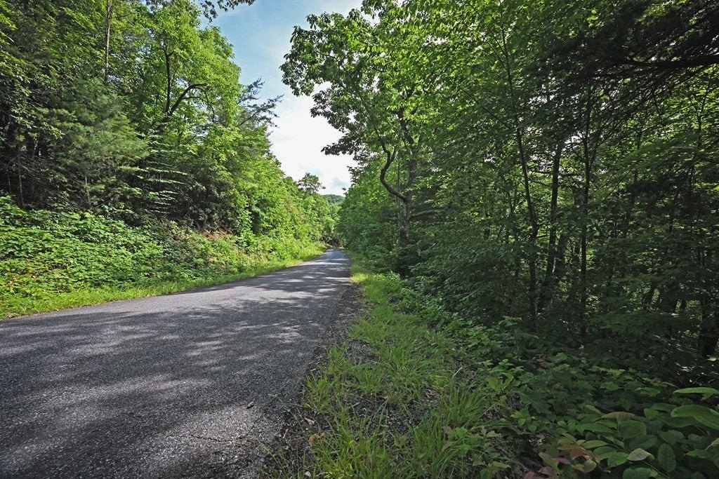 Picture 21