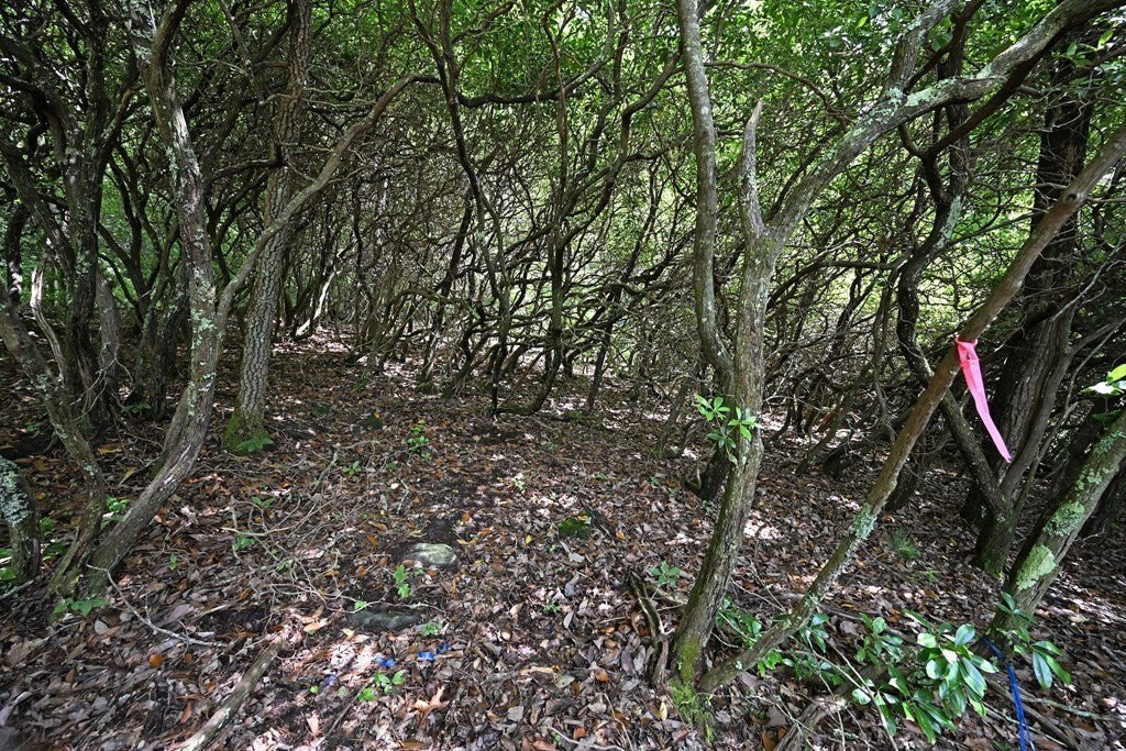 Picture 23