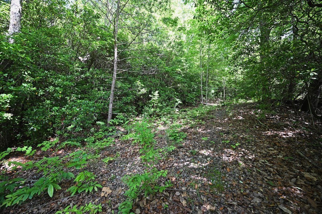 Picture 18