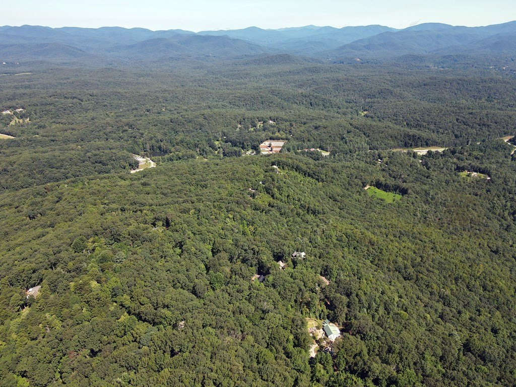 Picture 22