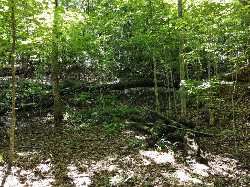 Picture 3