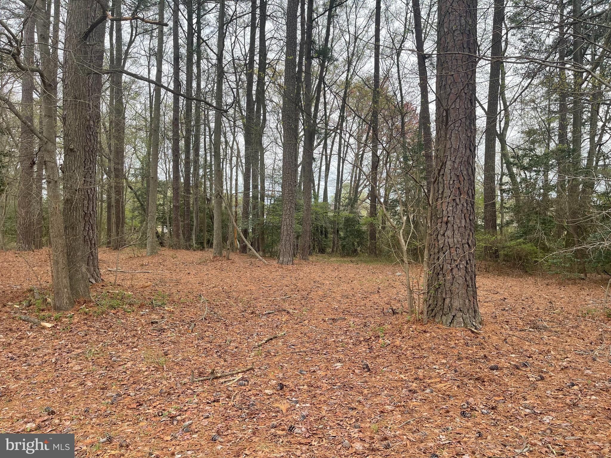 Residential Lot in Montross, VA