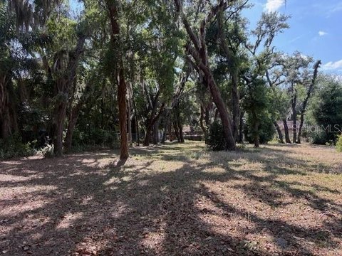 Temple Terrace Vacant Lot