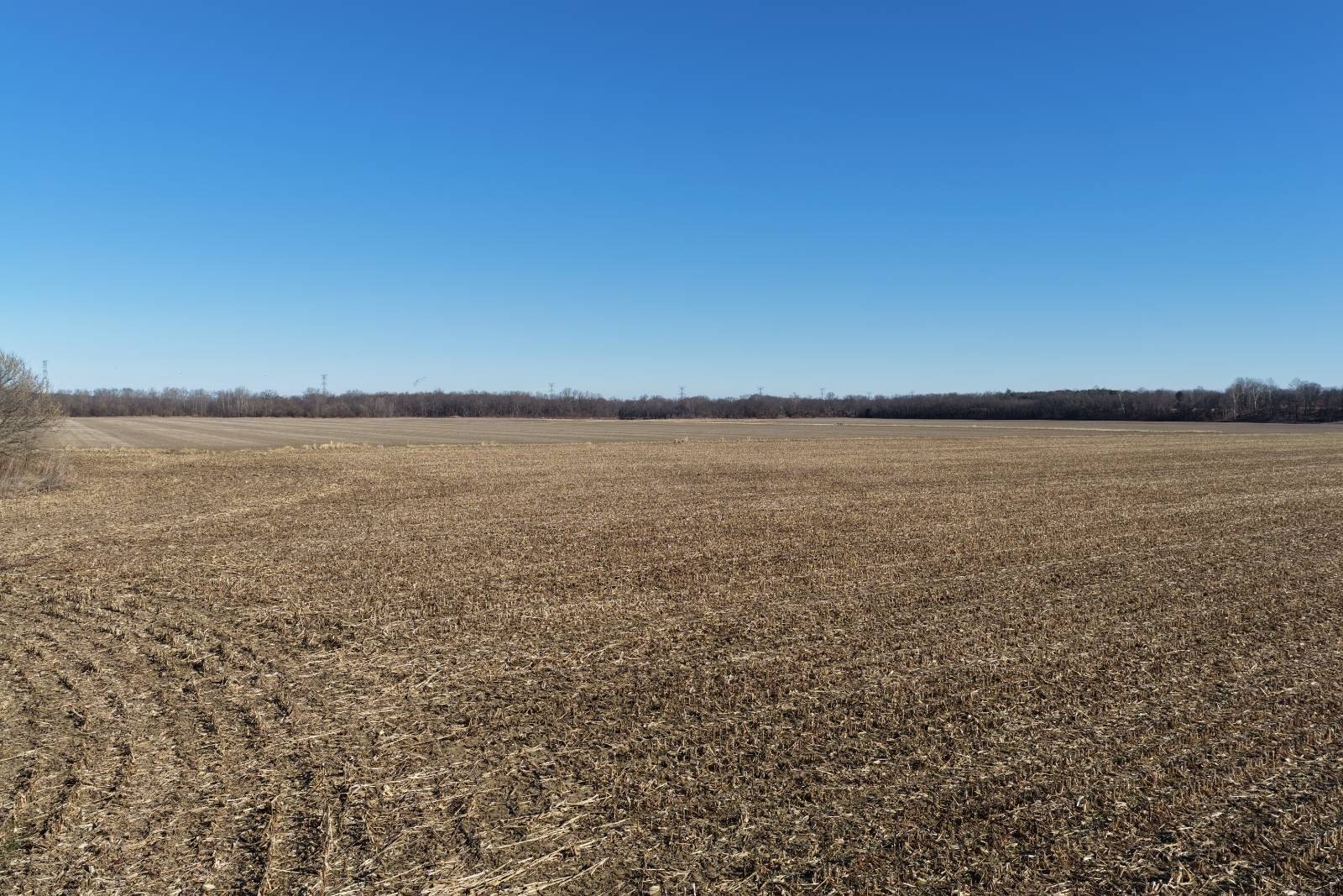 355 Acre Farm Near Martinsville